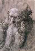 Albrecht Durer Study of a Man Aged oil painting reproduction